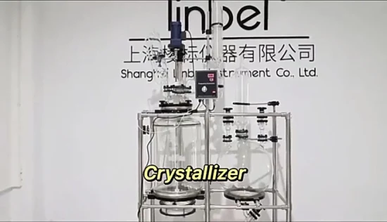 20л 50л 100л химическое лабораторное оборудование кристаллизационный реактор фильтр стеклянный реактор нутч-фильтр с бутылкой для сбора
